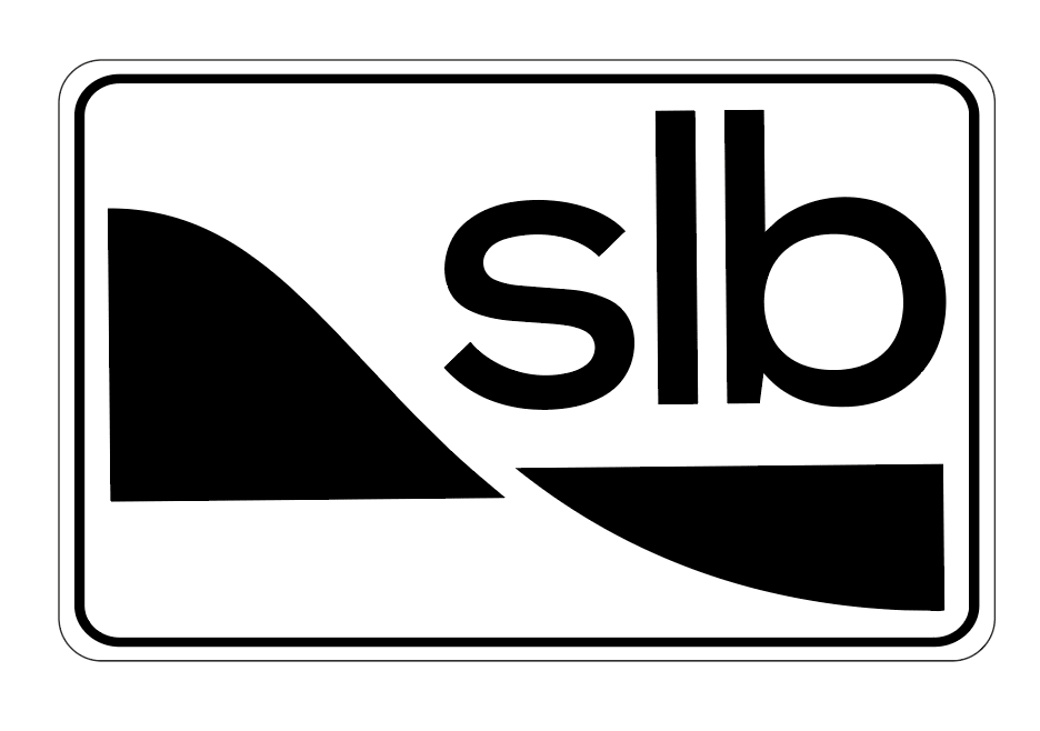 Custom Order for SLB - Hollow Point Society -