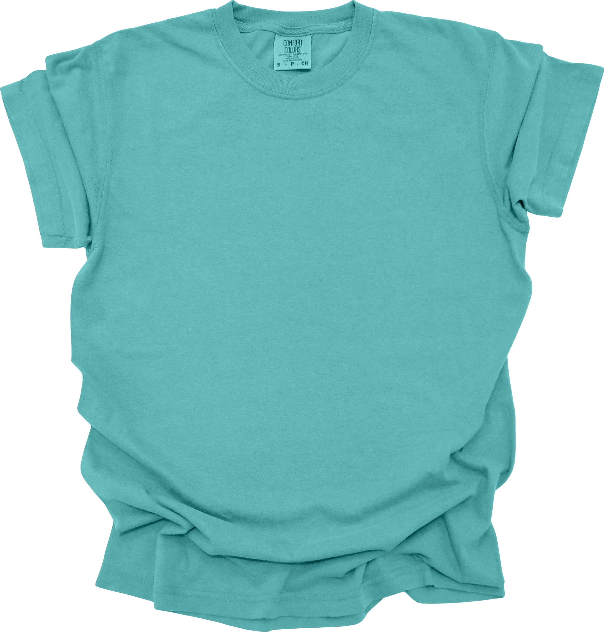 True Patriot Charlie Kirk Comfort Colors T-Shirt - Hollow Point Society - T-Shirt